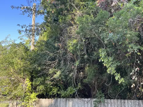 Residential Land in Green Cove