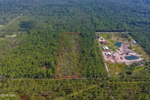 Wooded Recreation Land Parcel