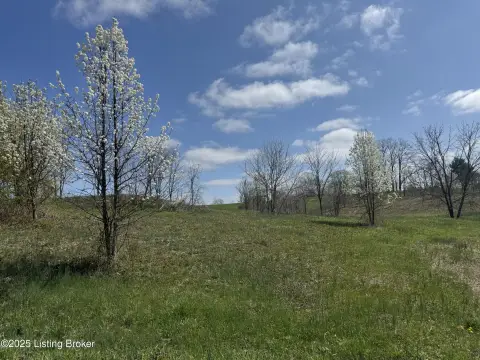 Land in Ghent, Kentucky