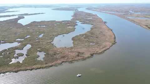 Unrestricted Grassy Wetlands Near Canal