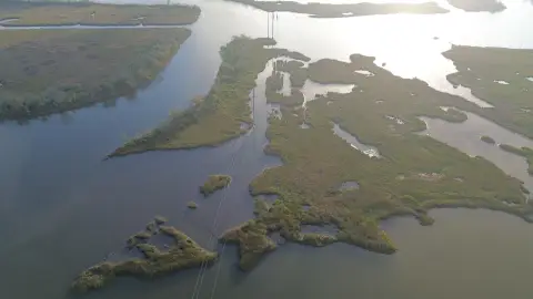 Wetland Land Near Bayou Point