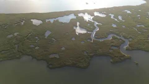 8 Acres Waterfront Land, Montegut