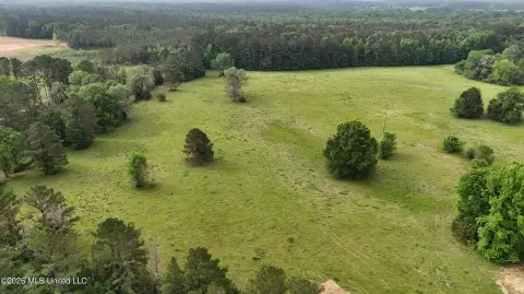 23.85 Acres in Canton, MS