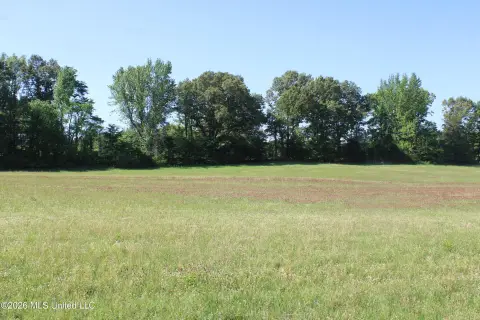 Residential Lot in Lake Cormorant