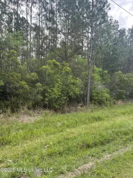 Picayune Land For Sale
