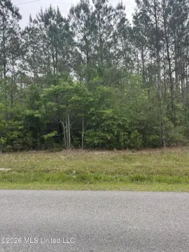 Picayune Land with Community Water