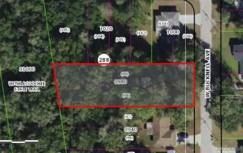 Inverness, Florida Building Lot