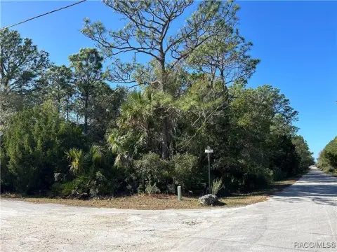 Crystal River Acreage For Sale