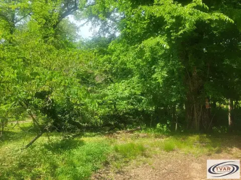 Vacant Lot in Historic Area