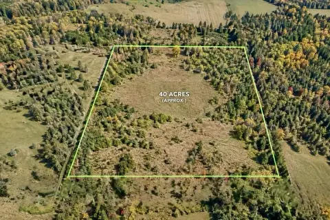 Hunting Land with Trails