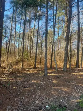 Jasper Land for Residential Development