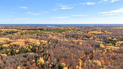 Wooded Border Hunting Land
