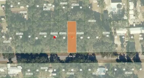 Commercial Lot in Welaka, FL