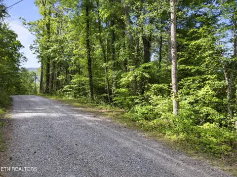 Wooded Homesite in Gated Community