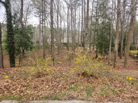 Residential Lot in Aiken, SC