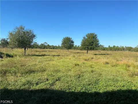 Cleared Land in Fort Denaud