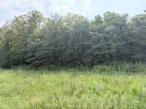 Pasture and Timber Agricultural Land