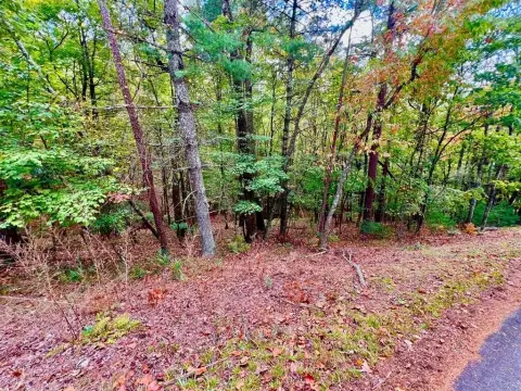 Ellijay Vacant Lot Near Golf