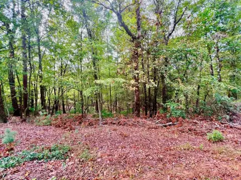 Ellijay Vacant Lot Near Golf