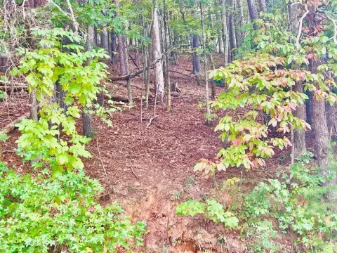 Ellijay Vacant Lot Near Golf