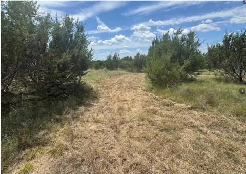 10+ Acre Fenced Land in Lipan