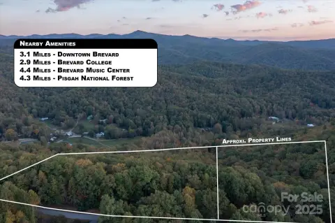 Brevard Land in Straus Park