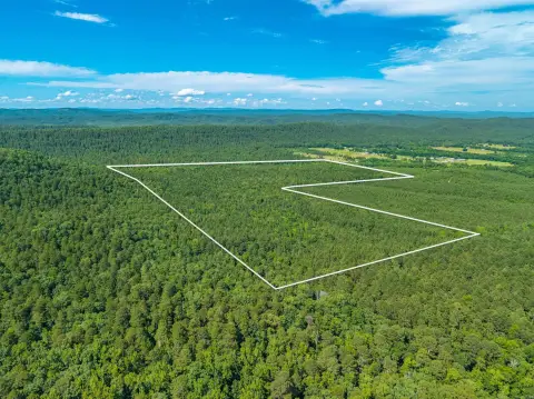 Timber Hunting Tract with Cabin