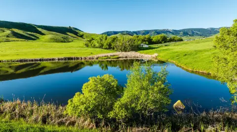 Agricultural Land with Pond and Water