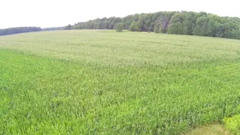 Agricultural Land with Cropland