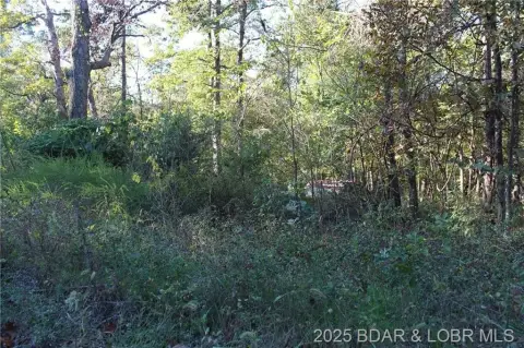 Residential Land in Stover, MO