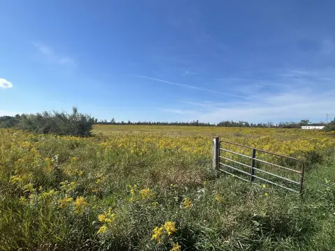 Hunting Land with Mobile Home
