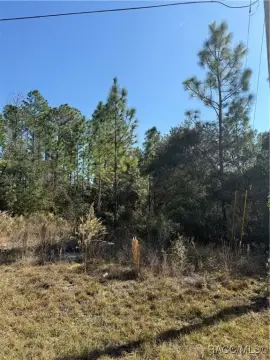 Citrus Springs Build-Ready Homesite