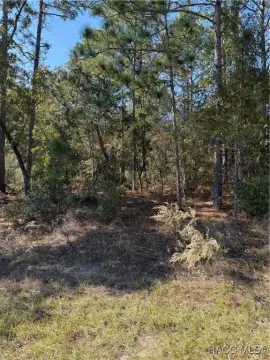 Citrus Springs Homesite Opportunity