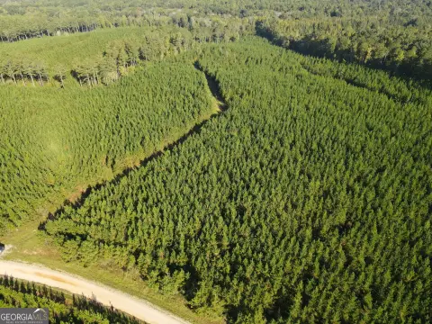 Hunting Land with Creek Frontage