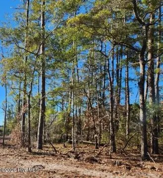 Southport Land in Master-Planned Community