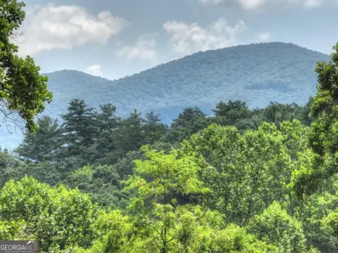 Ellijay Land with Mountain Views