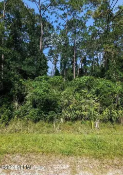 Vacant Land in Palatka, FL