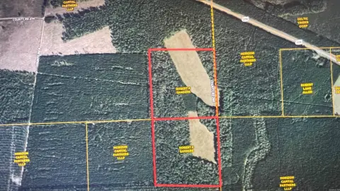 Timber and Pasture Hunting Tract