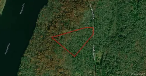 Wooded Land in Forestburgh, NY
