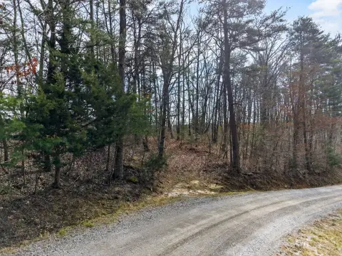 75 Acres of Tennessee Land