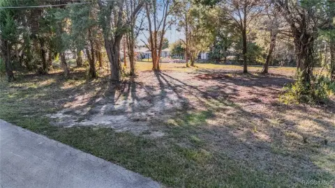 Waterfront Land in Crystal River