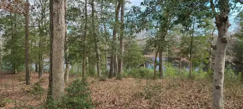 Eastern Shore Land Opportunity