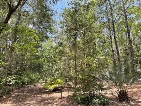 Residential Lot in Downtown St. Marys