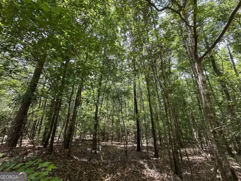 Hunting Land with Tree Coverage