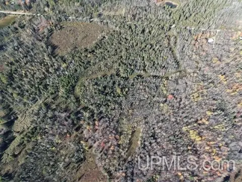 57-Acre Hunting Land