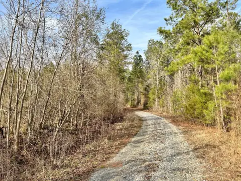 Creek-Front Hunting Land
