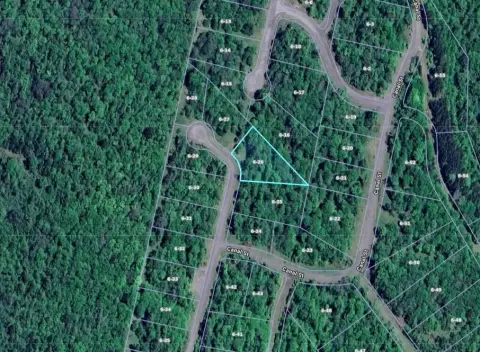 Vacant Land in Davis, WV