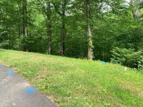 Laurel Valley Land Parcel