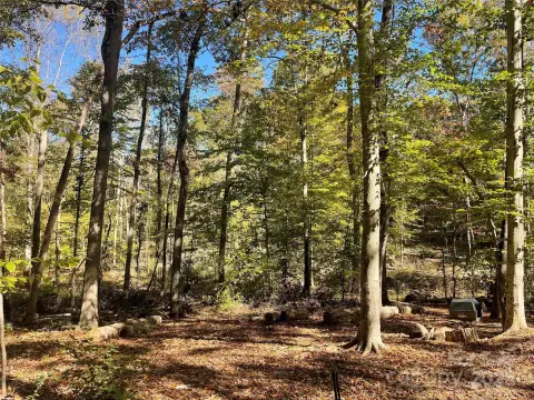 Mount Holly Land Opportunity