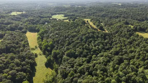 Working Agricultural Land with Barns